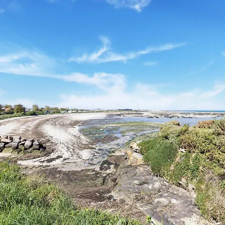 Charming With Orchard *