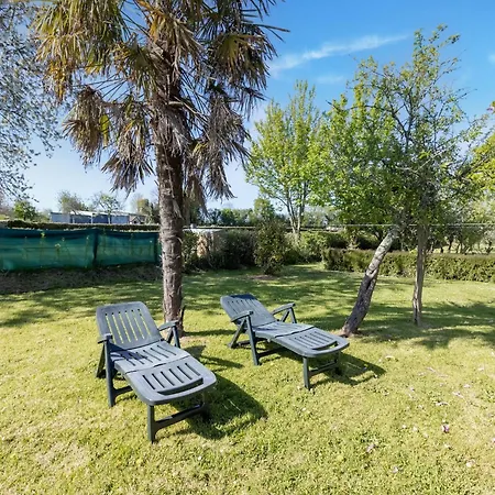 Charming With Orchard * Tamerville