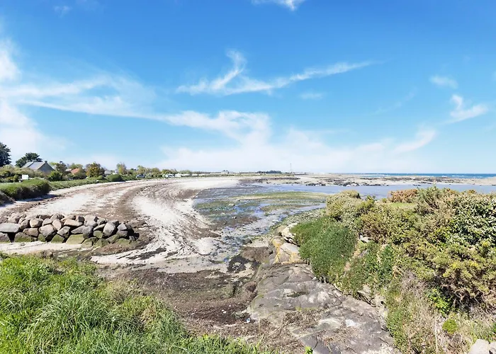 Charming With Orchard *