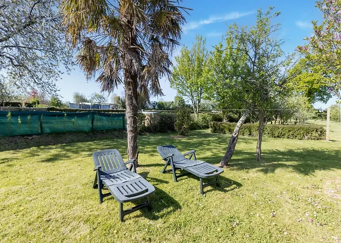 Charming With Orchard * Tamerville